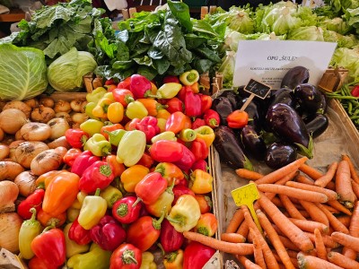 WhatsApp Image 2025-11-07 at 09.18.41 (1).jpeg